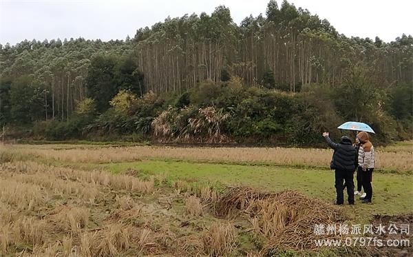 闵行区陈老师带着爱徒寻龙点穴